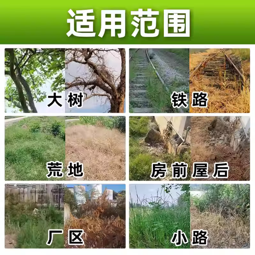 Barometer 75% Cyclazinone Weeding and Root Removal Agent Cyclazinone Weeding and Root Removal Agent for Large Trees and Roots Special Drug Cyclazinone and Large Tree Removing Agent 50g*5 Bags for Large Tree Removal