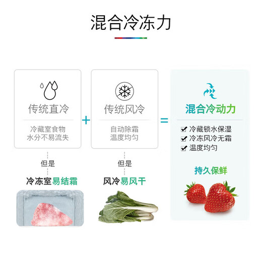 BOSCH Yunduobai sterilization 484L double door refrigerator + 10kg wool washing and drying set 48S20+15