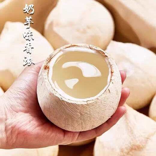 Imported from Thailand, small milk coconut royal Dannen Saduo perfumed coconut chicken soup old coconut fresh fruit for pregnant women 4 capsules 300-350g