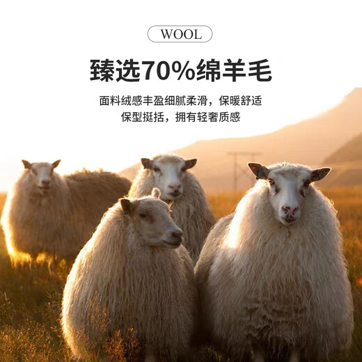 Antonio 90 goose down & detachable liner light luxury business high-end woolen woolen coat men's autumn and winter stand-up collar coat for men