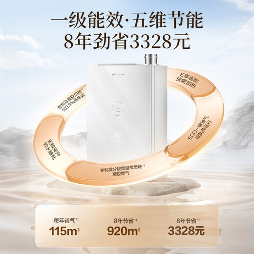 Vanward LS6 Super Energy Efficiency 16L Zero Cold Water Gas Water Heater Natural Gas Household Small Volume Water Servo Constant Temperature Noise Reduction Condensation 200% Boost