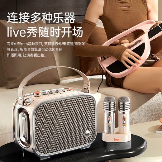 Divoom Oriental Qingluan playing and singing speaker Bluetooth home guitar instrument audio microphone outdoor K song square dance performance portable audio portable audio amplifier
