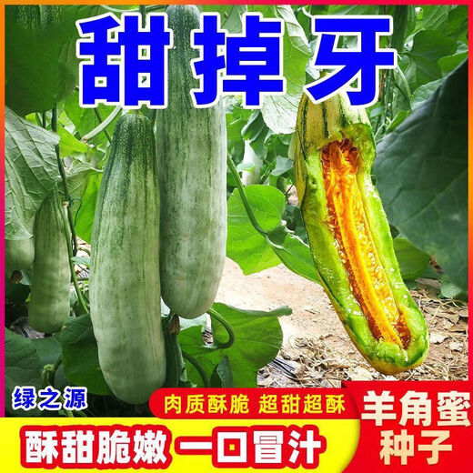 Croissant Melon Seeds, High Yield, Super Sweet Thin Skin Croissant Seeds, Balcony Flower Potted Fruit and Vegetable Seeds, Croissant Seeds, 5 packs, about 500 seeds