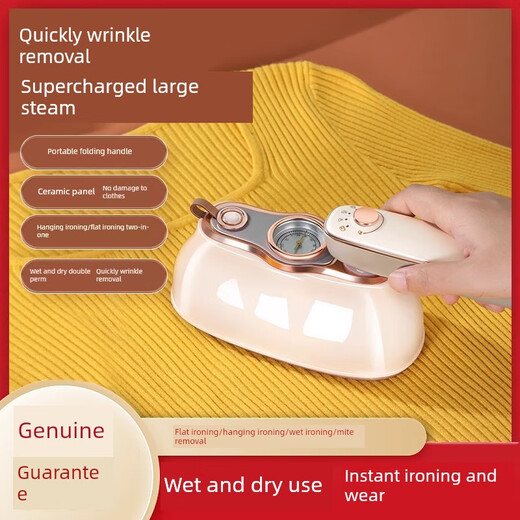 Complete German quality handheld ironing machine household small ironing machine portable steam electric iron ironing artifact convenient square meter white domestic_European general European regulations