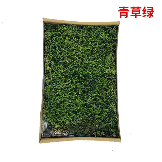 Plant boxed flower material package diy dry dried flowers real flower plant wall simulation fluffy background wall big gray moss-green grass