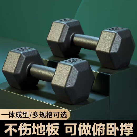 Dumbbell men's fitness home dormitory strength equipment for teenagers and ladies kettlebell barbell hexagonal 10/5kg pair 10kg 1 pair (5kgX2 only)