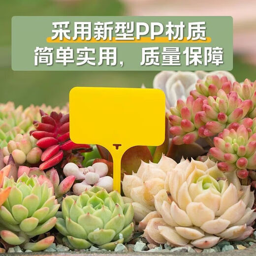 可插可挂防水小标签牌花盆多肉记号植物地牌花卉日期标识标签牌 白色100张
