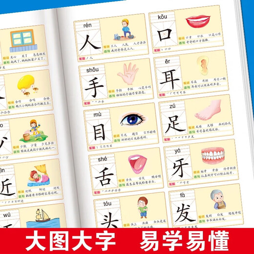 幼儿童识字大王3000字认知启蒙看图识字幼儿园语文识字教材小学生MM 识字大王1500字【起步+提高】2本