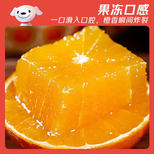 Jingdida Sichuan Ehime No. 38 jelly orange, net weight 5Jin Jin equals 0.5kg, single fruit 200g+, straight from the source