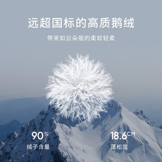 Mai Meng Limited Time Special MM90 Goose Down Warm Extreme Cold Casual Black Down Jacket Shopping Mall Winter Style Black 5FB280791 (Thickened version suitable for northern areas)