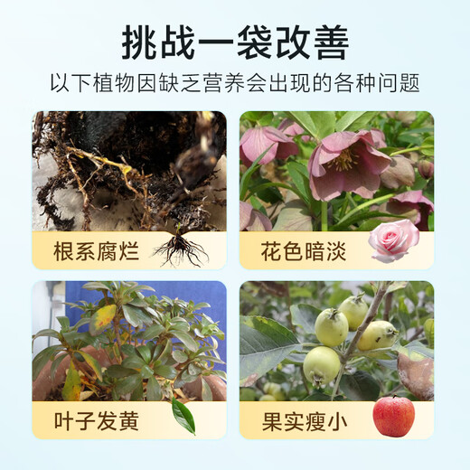Wangtianwang functional nutrition soybean meal organic fertilizer fermented rotten protein peptide general fertilizer for fruit trees, vegetables and flowers 5Jin Jin equal to 0.5kg