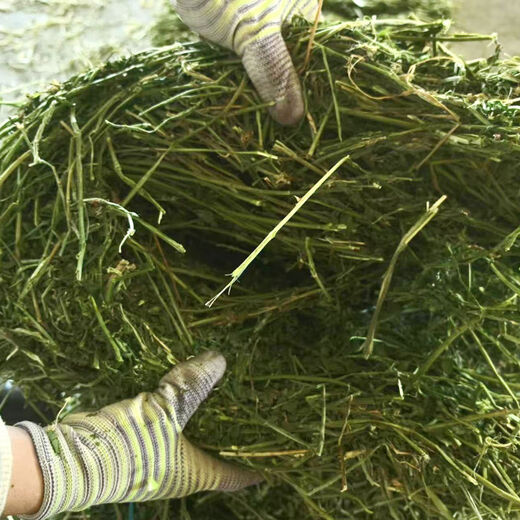 Alfalfa hay for cattle, sheep and horses, sheep grass, alpaca large zoo feed, alfalfa 5kg