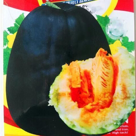 Black-skinned melon seeds, black-skinned sweet melons, large black-skinned melon seeds, cantaloupe seeds for spring sowing, fruits and vegetables, black-skinned melon seeds/pack, about 25 capsules, 1 pack