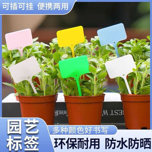 可插可挂防水小标签牌花盆多肉记号植物地牌花卉日期标识标签牌 白色100张