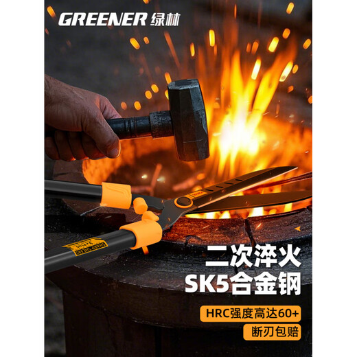 Green forest gardening scissors, lawn hedges, gardening shears, saplings, high branch shears, special scissors for pruning branches, 99% pruning selection grade - straight blade - 65MN steel blade
