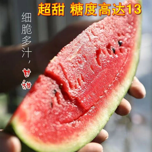 Watermelon Set, Watermelon Seeds, Watermelon Balcony Potted Plants, Farmhouse Garden Melon Seeds, Lazy Man King Watermelon Seeds, 1 pack, about 50 pieces