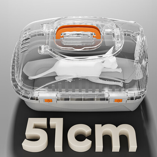 靠森（Kaooseen）宠物航空箱猫咪外出便携手提防应激狗狗车载托运太空舱出行猫笼子 灰色(猫砂铲+除臭包) 手提式外出猫箱