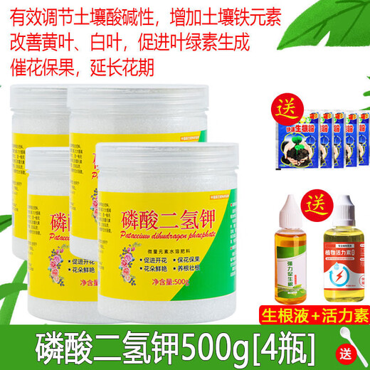 YWZR Potassium Dihydrogen Phosphate Fertilizer Flower Special Agricultural Plant Potted Flower-promoting Phosphorus Potassium Fertilizer Water-soluble Foliar Fertilizer Potassium Dihydrogen Phosphate 500g 4 cans Free Rooting Liquid + Vitality + Rooting Powder
