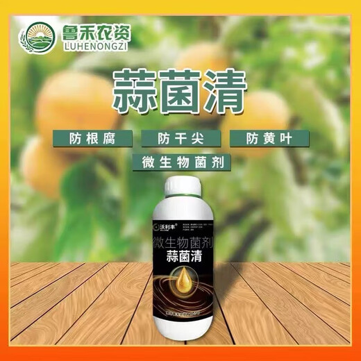 Garlic planting special early rooting and fast rooting seedlings to improve nutrition garlic Kangbacteria microbial agent prevention Garlic Bacteria Genuine original 500g * 1 bottle