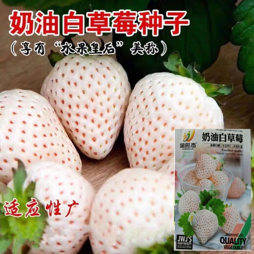 Creamy White Strawberry Seeds Four Seasons White Strawberry Seeds Vegetable Seeds and Beauty Home Potted Balcony Planting Creamy White Strawberry Seeds/Pack About 100 capsules 5 packs