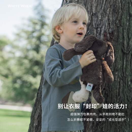 T-shirt à manches longues en coton blanc pour enfants, hauts décontractés pour garçons et filles, imprimés, en coton, gris, automne 2025, 100