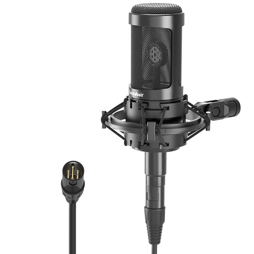 Burren Bell BL-500 condenser microphone audiobook recording equipment professional anchor recitation dubbing broadcast set recording studio grade BL-500 microphone standard