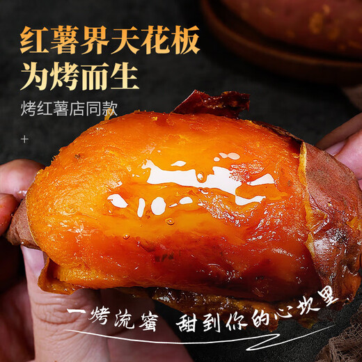 Chunfule Shandong Yanshu No. 25 sweet potato sweet potato candied sweet potato fresh sweet potato farm oil sand roasted sweet potato price difference 5 Jin Jin equals 0.5 kilograms packed hand-picked selected fruit net 4.5 Jin Jin equals 0.5 kilograms