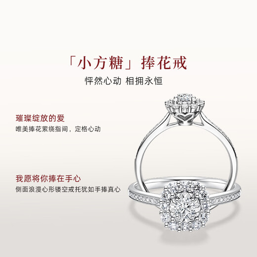 DR Spot Round Diamond Thrill of Love BELIEVE Proposal Diamond Ring Platinum Ring for Women 9 Points H Color SI1 No. 14