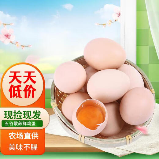 Fresh free-range eggs, single 50g, plus or minus 5g, grain-fed eggs, fresh eggs, soft-boiled eggs, fresh vegetables for breakfast, 10 pieces, 50g/piece Fresh free-range eggs, single 50g, plus or minus 5g, grain-fed eggs, fresh eggs, soft-boiled eggs, fresh vegetables for breakfast, 10 pieces, 50g/piece