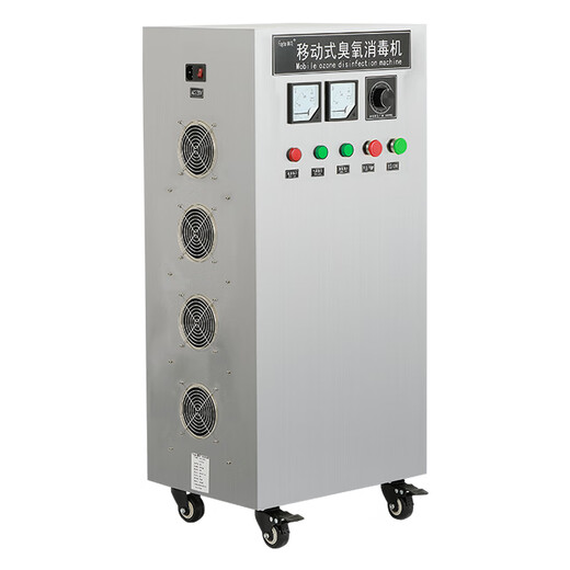 Maple CYJ16100A-Y100G ozone generator ozone disinfection machine ozone machine food factory warehouse storage farm sterilization and disinfection water treatment