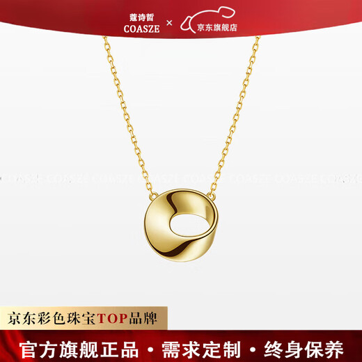 COASZE Hidden Series Möbius Ring Necklace 18K Gold Necklace, Valentine's Day Birthday Gift for Girlfriend and Wife Hidden Gold-Shine Medium Size-Classic and Elegant