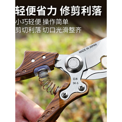 JCZS new original new powerful sharp thick branch pruning garden fruit tree household labor-saving flower scissors gardening special black handle pruning shears (opp bag)
