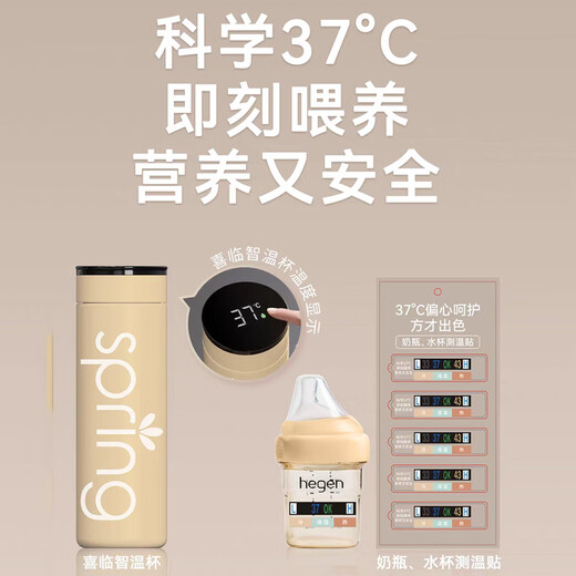 HEGEN pacifier baby off-center pacifier design super soft silicone Y-shaped food pacifier 2 pack