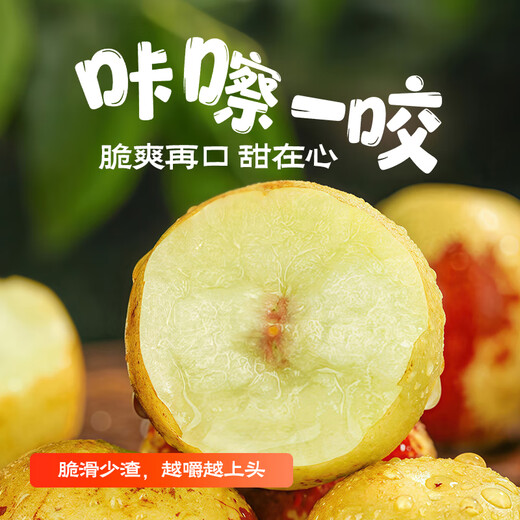 Jingxiansheng Shandong Zhanhua Winter Dates Net weight 4.5Jin Jin is equal to 0.5kg Single fruit 15g+ Fresh fruits are crisp and refreshing straight from the source