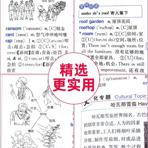 2025年新编正版高中初中小学生专用实用新英汉词典汉英互译双解多工具书大全新华现代汉语英语英文小字典便携朗文常用成语词汇 【学生实用】新英汉词典