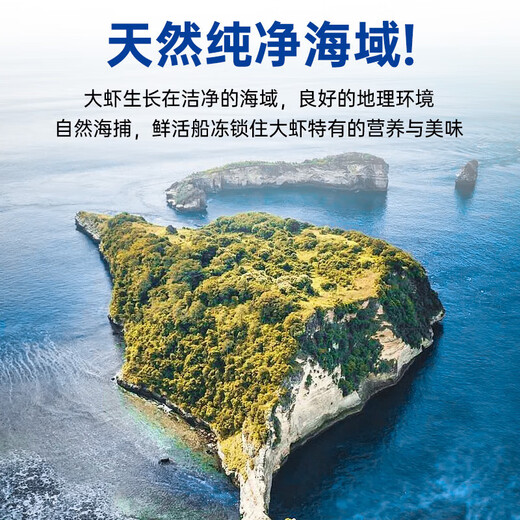 Linglue Qingdao Salted Frozen Prawns Net Weight 3Jin Jin is equal to 0.5kg 105-120 pieces Salted Frozen White Prawns Prawns Base Shrimp Fresh Shrimp