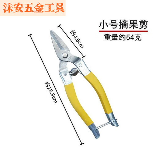 FANCYCHICA Grade Luoding Fruit Scissors Stainless Steel Fruit Picking and Pruning Scissors Small-Yellow Roding Fruit Picking Scissors