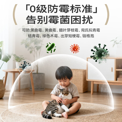 Carbaoli wall repair self-spray paint wall repair paste latex paint wall repair paste white wall decontamination repair artifact white paint 600ml