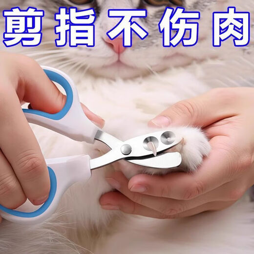 Pengyi cat nail scissors, small blind scissors, cat nail scissors, pet nail clippers, nail clippers, cat paw scissors, 1 blue pet double-hole small blind scissors
