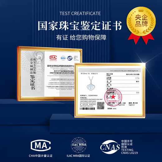 Chinese gold silver necklace for women 2025 new diamond pendant birthday gift for girlfriend mom and wife anniversary dazzling diamond silver pendant gift silver chain