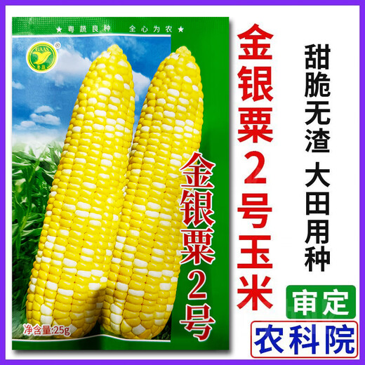 Jiannan Seed Industry Academy of Agricultural Sciences Super Sweet Golden Silver Chestnut No. 2 Corn Seed Four Seasons Fruit Sweet Corn Seed Field Corn Seed Golden Silver Chestnut No. 2 Original 100g