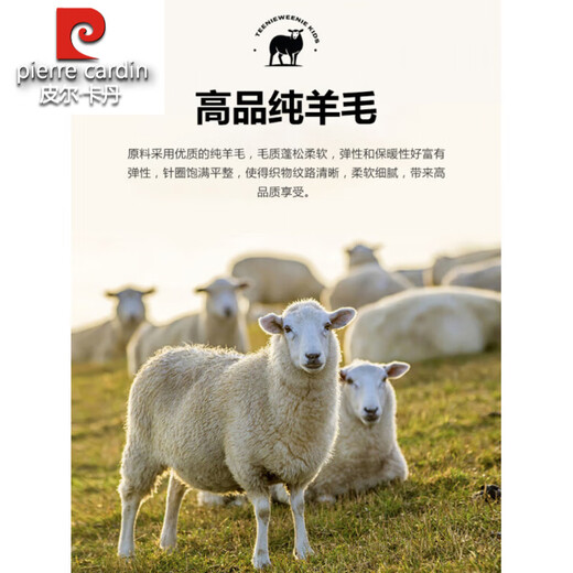 Pierre Cardin French haute couture 100% worsted wool suit suit for men, business formal straight trousers, double slit suit jacket, navy blue M 170