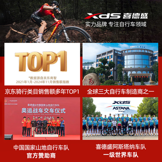 喜德盛（xds）极速380平把公路车油压碟刹18速禧玛诺后拨桶轴自行车成人 米白/卡其 450mm 建议身高160-170cm