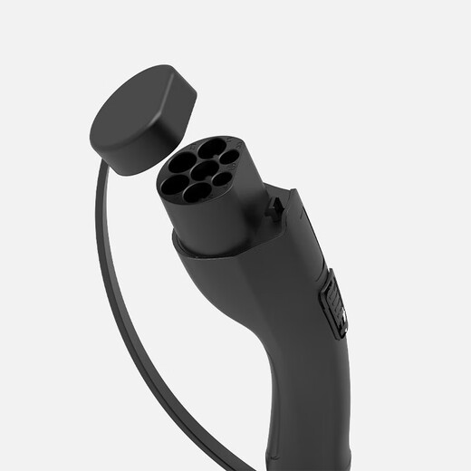 Geely Galaxy/Xingyuan Car Charger Gold List Hot Model Original Portable AC Charging Gun Geely Car Charger-5 Meter Gun Cable Original Factory Standard Configuration