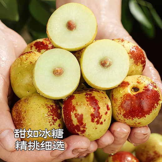 Jingxiansheng Shandong Zhanhua Winter Dates Net weight 4.5Jin Jin is equal to 0.5kg Single fruit 15g+ Fresh fruits are crisp and refreshing straight from the source
