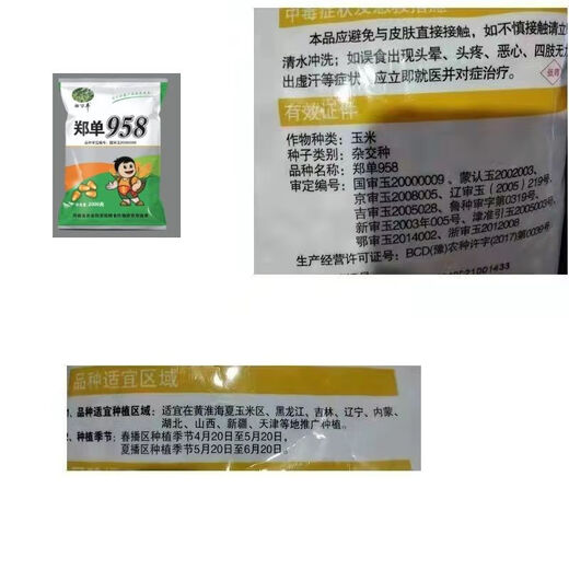 High-yielding big-stick corn seed Zhengdan 958 new seed long-grained short-stem lodging-resistant corn seed cultivated by the Academy of Agricultural Sciences National Approval Zhengdan 958 Original 4Jin Jin equals 0.5 kg