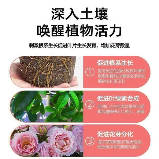 Plant bursting hormone, budding hormone, succulent leaf inserts, bud-promoting germination, household flower growing fertilizer, old pile plant clear leaf fertilizer, old pile dry yellow leaves first aid, new buds grow, 1 barrel 2500ml