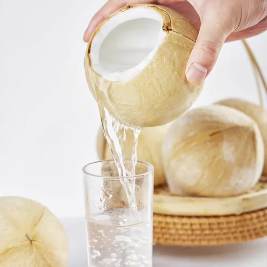 Imported milky coconut royal coconut seasonal fresh fruit green coconut milky fragrance rich and sweet taste milky coconut royal 4 pieces large fruit single fruit 400-500g