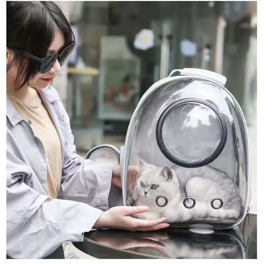 MODX Outing Space Pet Pet Supplies Tragbarer Raumkapsel-Rucksack mit großer Kapazität, transparente Katzenausflugstasche, hellgrünes + transparentes Modell, verbessertes Panoramamodell mit seitlicher Öffnung