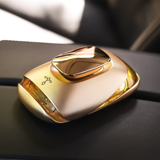 Tuya Car Perfume Car Perfume Seat Car Perfume Car Ornaments Car Perfume Refill Liquid Car Supplies Ornaments Cologne-Golden Bottle Audi Model